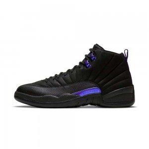 Nike Air Jordan 12 "Dark Concord" CT8013-005 Black/Black/Dark Concord | 1203FLPUR