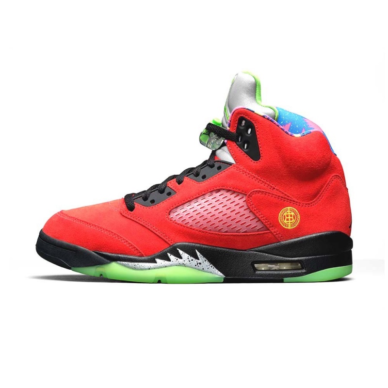 Nike Air Jordan 5 Retro SE \